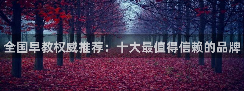 78mapp威九国际网页版：全国早教权威推荐：十大最值得信赖的品牌