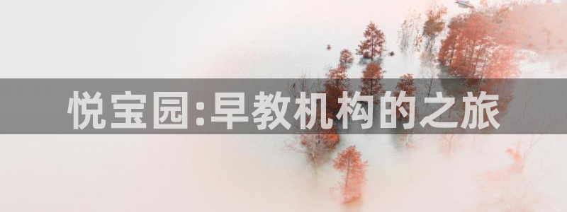 威九国际免费进入：悦宝园:早教机构的之旅