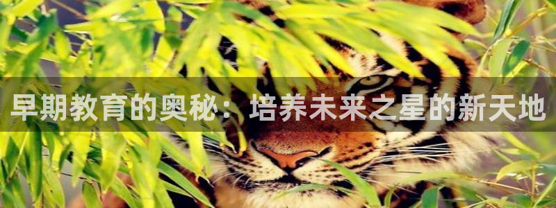 威九国际网站入口官网免费：早期教育的奥秘：培养未来之星的新天地