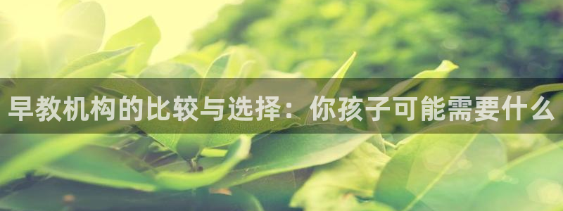 威九国际游戏网站:早教机构的比较与选择:你孩子可能需要什么