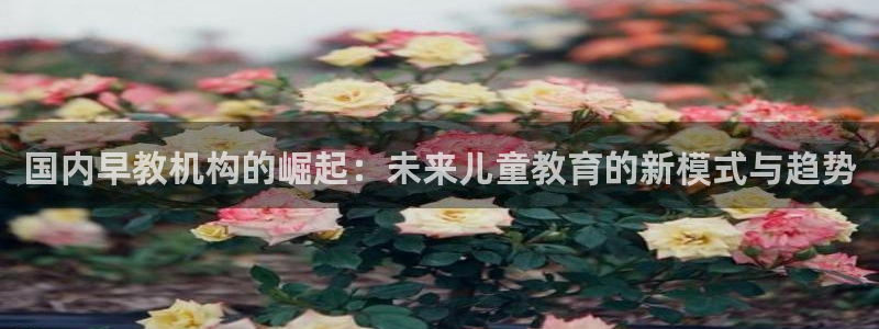 威九国际78mb：国内早教机构的崛起：未来儿童教育的新模式与趋势