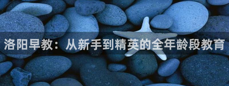 威九国际空降视频：洛阳早教：从新手到精英的全年龄段教育