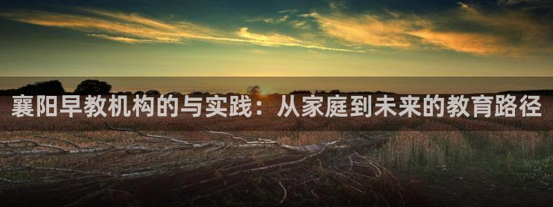 威九国际ppt官网：襄阳早教机构的与实践：从家庭到未来的教育路径