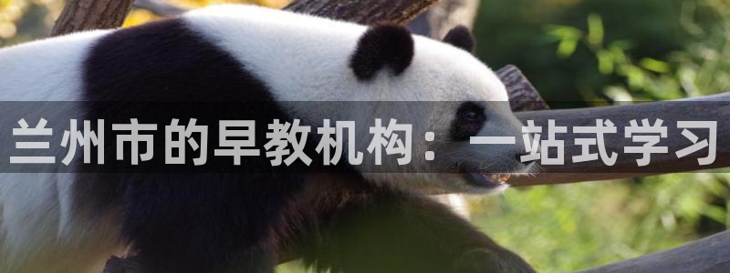 威九国际女演员好漂亮：兰州市的早教机构：一站式学习