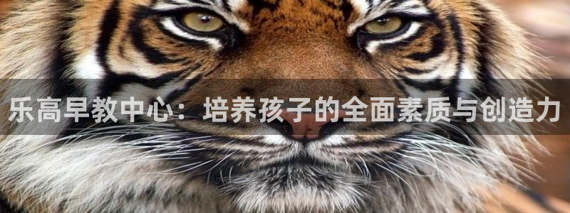 威九国际宣传片：乐高早教中心：培养孩子的全面素质与创造力