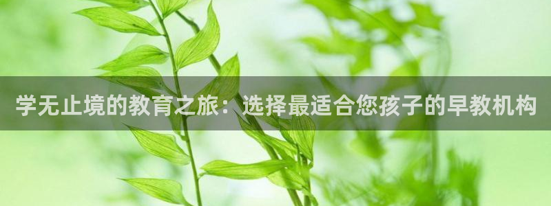 威九国际真人游戏：学无止境的教育之旅：选择最适合您孩子的早教机构