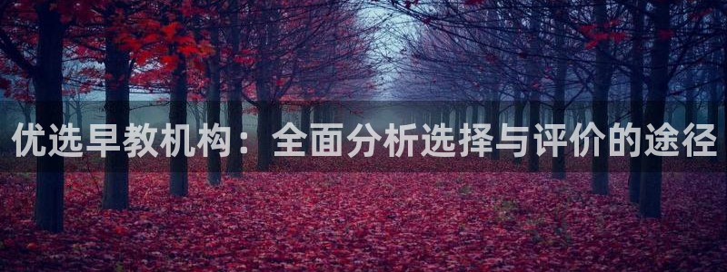 威九code6070：优选早教机构：全面分析选择与评价的途径