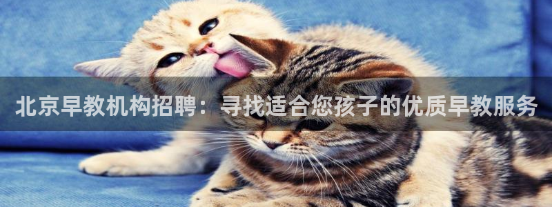 威九国际v96bet官网版：北京早教机构招聘：寻找适合您孩子的优质早教服务