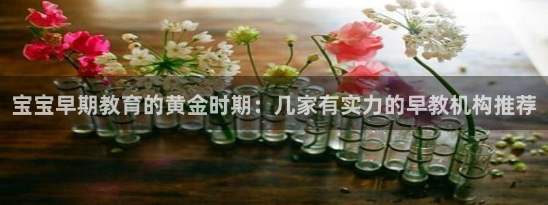 威九国际官方网站：宝宝早期教育的黄金时期：几家有实力的早教机构推荐