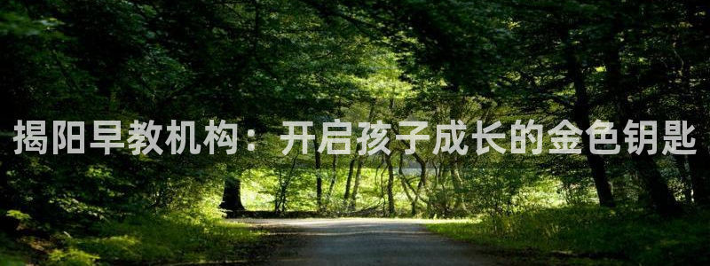 威九国际78mB：揭阳早教机构：开启孩子成长的金色钥匙