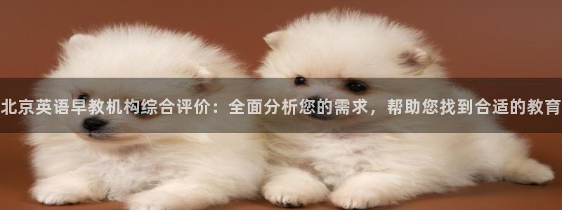 威九code6070：北京英语早教机构综合评价：全面分析您的需求，帮助您找到合适