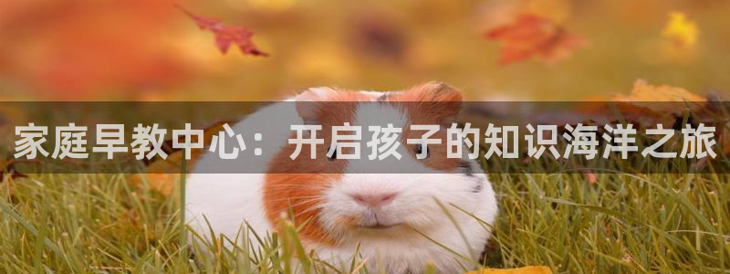 78.m威九国际官网版：家庭早教中心：开启孩子的知识海洋之旅