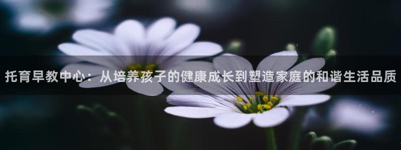 威九国际网站是多少：托育早教中心：从培养孩子的健康成长到塑造家庭的和谐生活品质