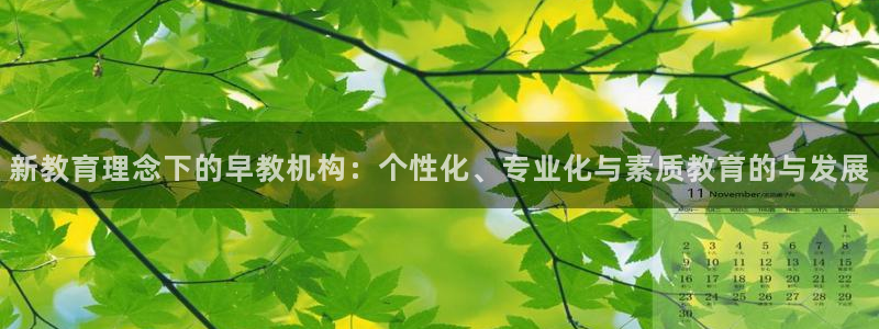 威九国际网站入口rdquo：新教育理念下的早教机构：个性化、专业化与素质教育的与