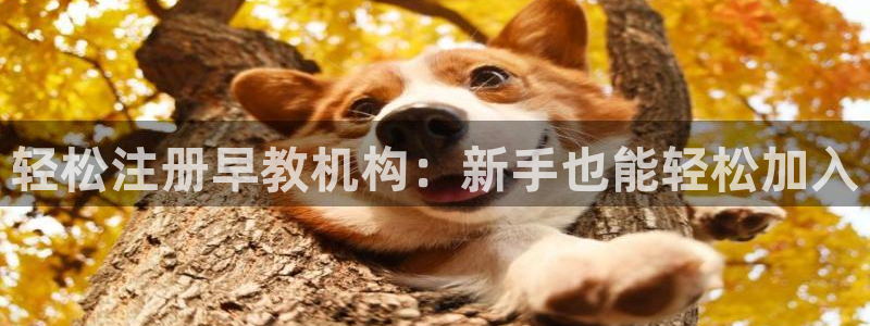 威九国际78m光伏巨头隆基绿能esg成色：轻松注册早教机构：新手也能轻松加入