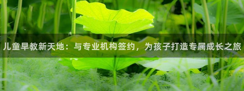 威九国际的金融服务有哪些：儿童早教新天地：与专业机构签约，为孩子打造专属成长之旅
