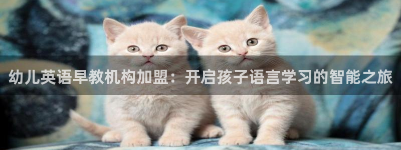 威九国际空降服务女演员名字：幼儿英语早教机构加盟：开启孩子语言学习的智能之旅