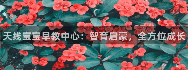 威九国际空降服务女演员叫什么名字：天线宝宝早教中心：智育启蒙，全方位成长