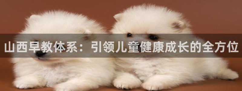 威九国际取款不会被骗吧吗：山西早教体系：引领儿童健康成长的全方位