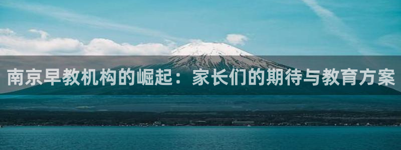 威九国际全国空降：南京早教机构的崛起：家长们的期待与教育方案