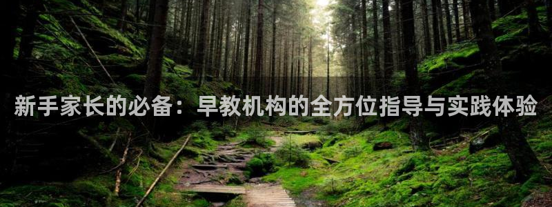 威九国际78mb官网：新手家长的必备：早教机构的全方位指导与实践体验