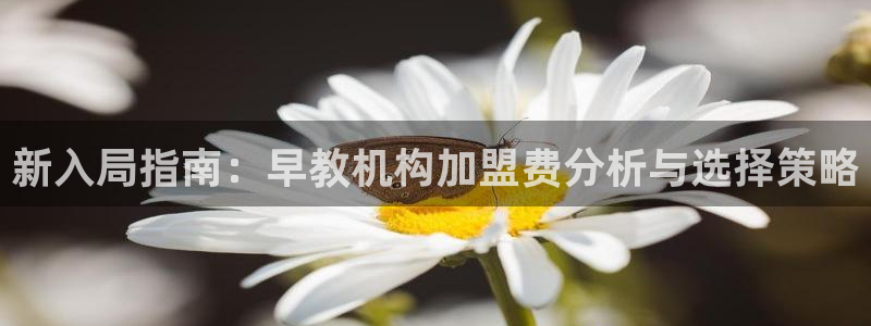 威九国际v96242cc官网版：新入局指南：早教机构加盟费分析与选择策略