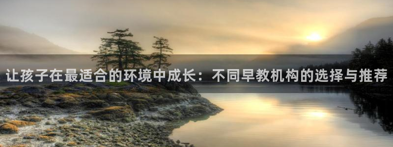 威九国际服：让孩子在最适合的环境中成长：不同早教机构的选择与推荐
