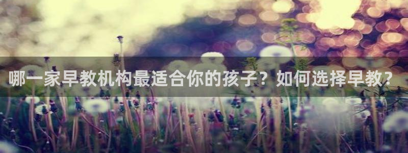 威九国际app无法登陆怎么回事：哪一家早教机构最适合你的孩子？如何选择早教？