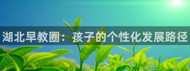 威九国际ppt免费吗：湖北早教圈：孩子的个性化发展路径