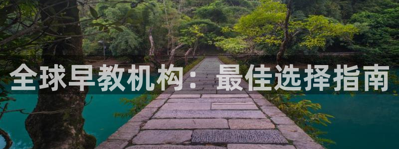 威九国际提款不出来：全球早教机构：最佳选择指南