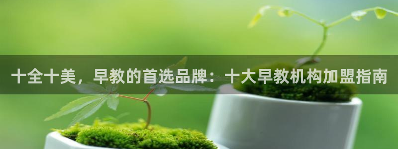 威九国际官方入口：十全十美，早教的首选品牌：十大早教机构加盟指南