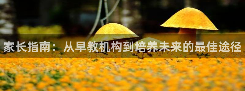 威九国际ppt免费下载：家长指南：从早教机构到培养未来的最佳途径