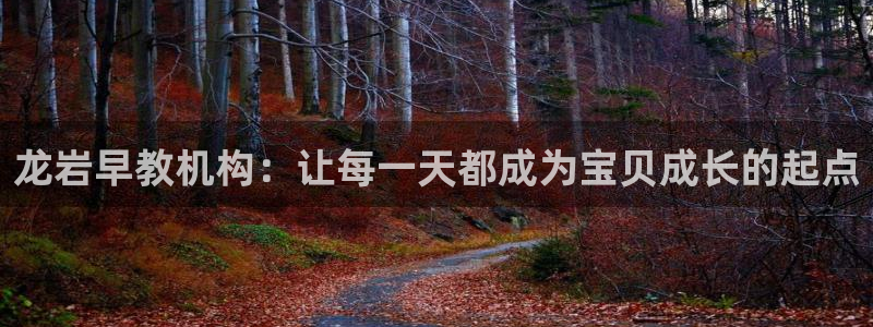 威九国际app客服电话号码：龙岩早教机构：让每一天都成为宝贝成长的起点