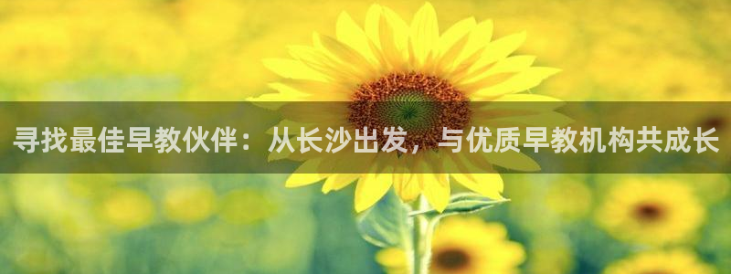 威九国际官方网站：寻找最佳早教伙伴：从长沙出发，与优质早教机构共成长