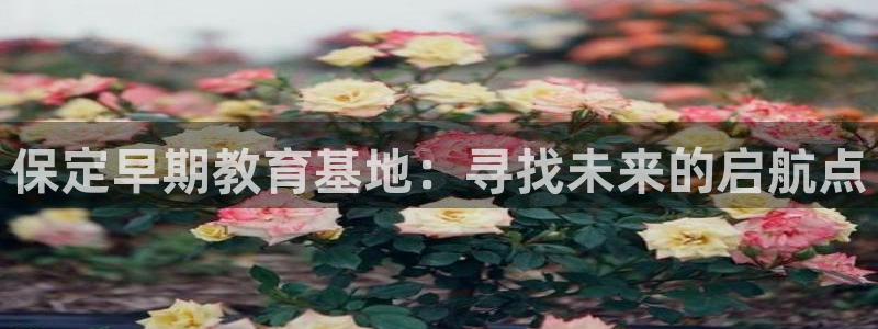 威九国际体育：保定早期教育基地：寻找未来的启航点