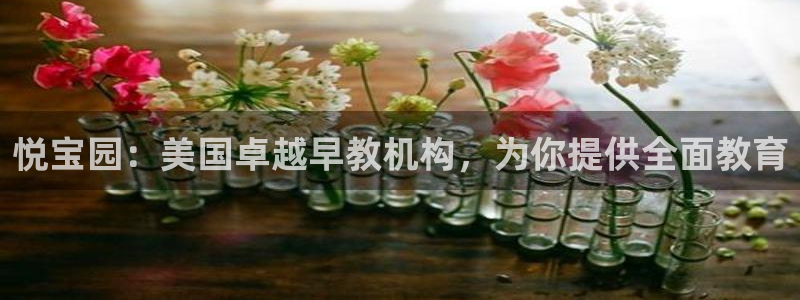 78mapp威九国际成全视频:悦宝园:美国卓越早教机构,为你提供全面教育