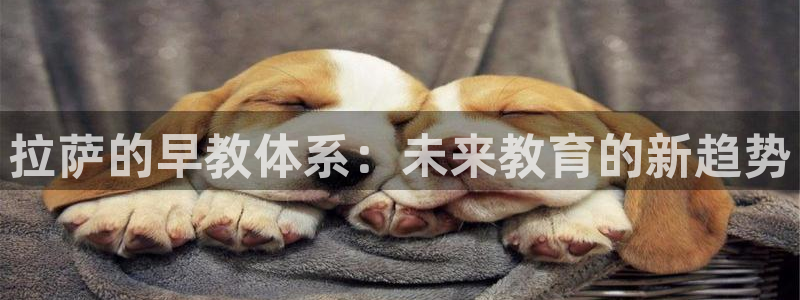 威九国际78mob游戏亮点:拉萨的早教体系:未来教育的新趋势