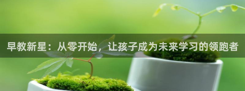 威九国际v96bet下载:早教新星:从零开始,让孩子成为未来学习的领跑者