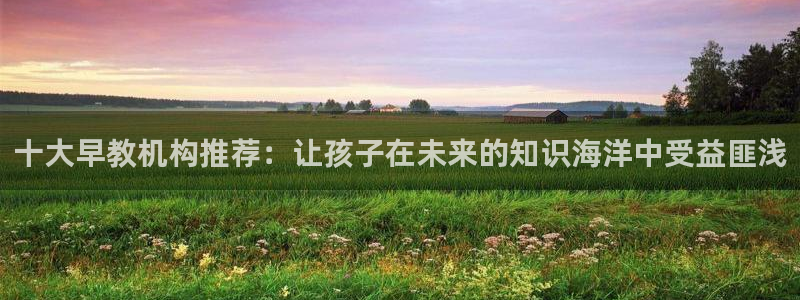 威九国际父亲的友人:十大早教机构推荐:让孩子在未来的知识海洋中受益匪浅