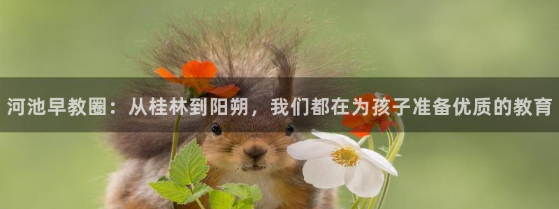 威九国际v18:河池早教圈:从桂林到阳朔,我们都在为孩子准备优质的教育