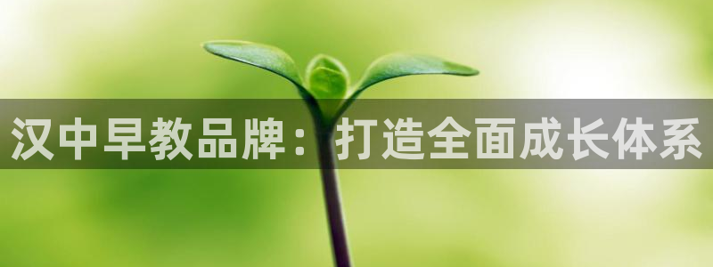 威九国际空降:汉中早教品牌:打造全面成长体系