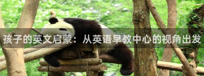 威九国际网站安全吗：孩子的英文启蒙：从英语早教中心的视角出发