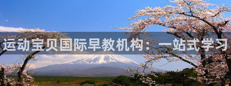 威九国际app哪个地方:运动宝贝国际早教机构:一站式学习