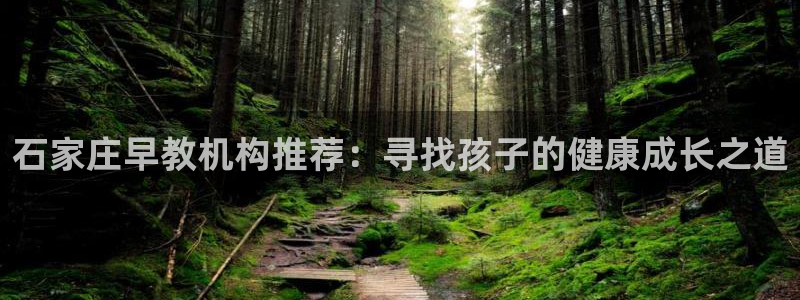 威九国际官方入口：石家庄早教机构推荐：寻找孩子的健康成长之道