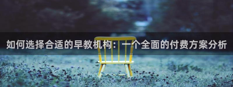 威九国际66mm66：如何选择合适的早教机构：一个全面的付费方案分析