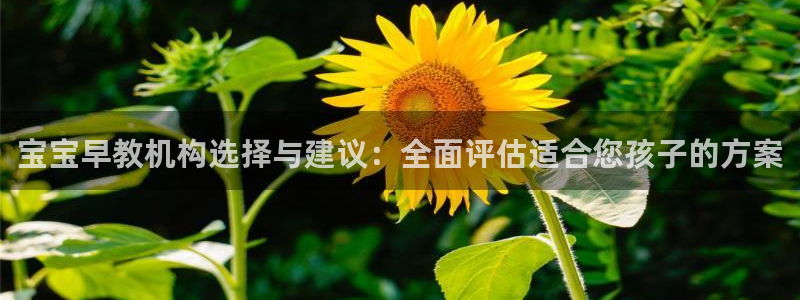78mapp威九国际成长视频：宝宝早教机构选择与建议：全面评估适合您孩子的方案