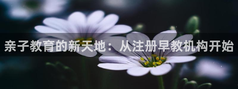 威九国际78mob官网版：亲子教育的新天地：从注册早教机构开始