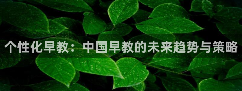 威九国际66cm:个性化早教:中国早教的未来趋势与策略