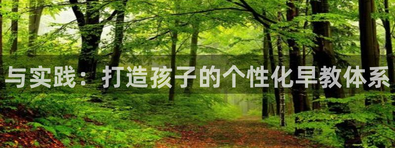 威九国际官网登录入口网站:与实践:打造孩子的个性化早教体系