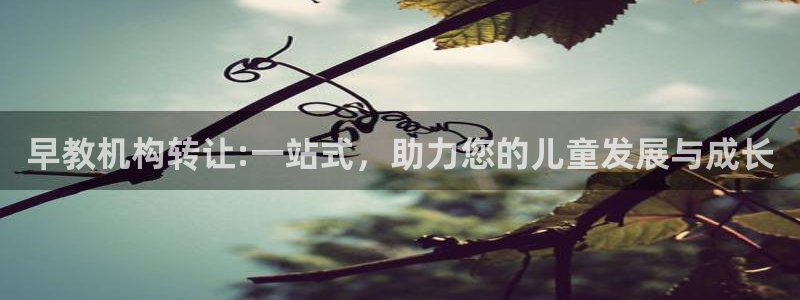 威九国际精选酒店电话：早教机构转让:一站式，助力您的儿童发展与成长